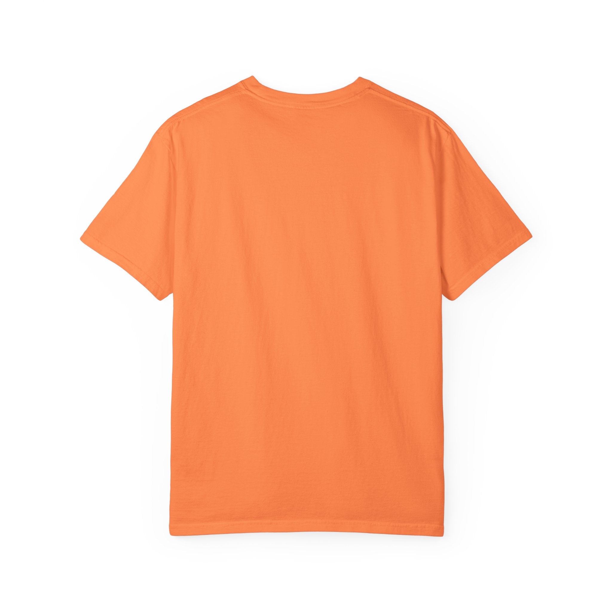 The Quiet Things Tee Unisex Garment-Dyed